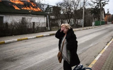 Ukrayna’da Barış Umudu: Trump’ın Planı ve Zelenski’nin Direnci