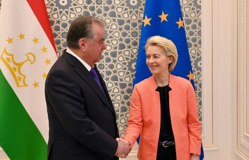 STK'lardan AB'ye Orta Asya Zirvesi İçin İnsan Hakları Uyarısı