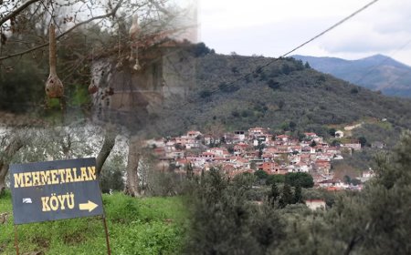 MehmetAlan Köyü'nün Çeşmesi: Bir Çeşmeden Akan Hikmet