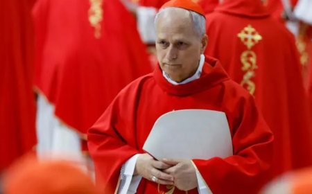 Katolik Kilisesi'nde Bir İlk: Papa 14. Leo, ABD’li Robert Francis Prevost Kimdir?
