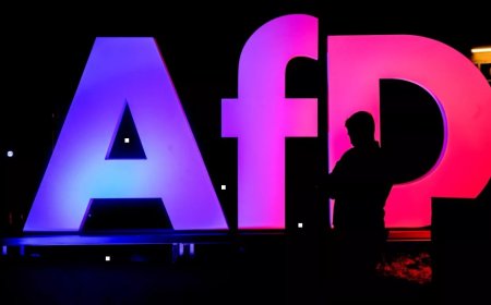 Almanya’da AfD’li Vekile Şok Soruşturma: Rüşvet ve Kara Para İddiası