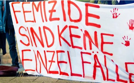 Almanya’da Ev İçi Şiddet Tırmanıyor: Kadınlar Yine En Çok Etkilenenler