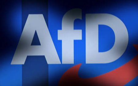 Almanya’da AfD Kutuplaşması Derinleşiyor
