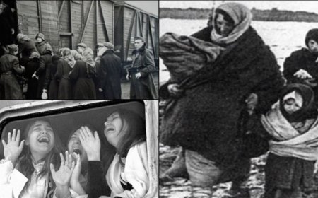 Kırım Türklerinin sesi duyulmalı: Türkiye bu meseleye sahip çıkmalı