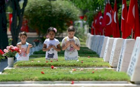 Şehit Eşine Ceza, Teröriste Meclis!