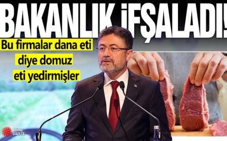 Dana Eti Diye Domuz Eti Satmışlar: Bakanlık Bu Firmaları İfşa Etti