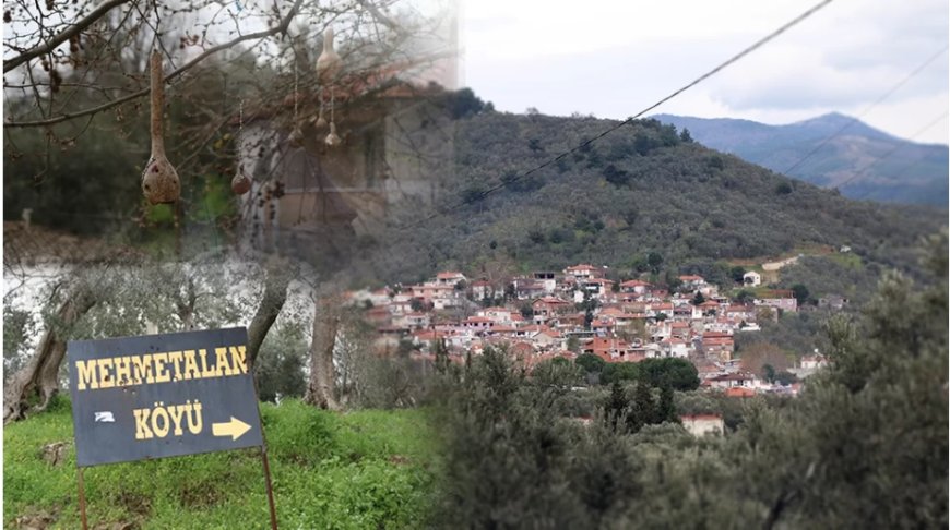 MehmetAlan Köyü'nün Çeşmesi: Bir Çeşmeden Akan Hikmet