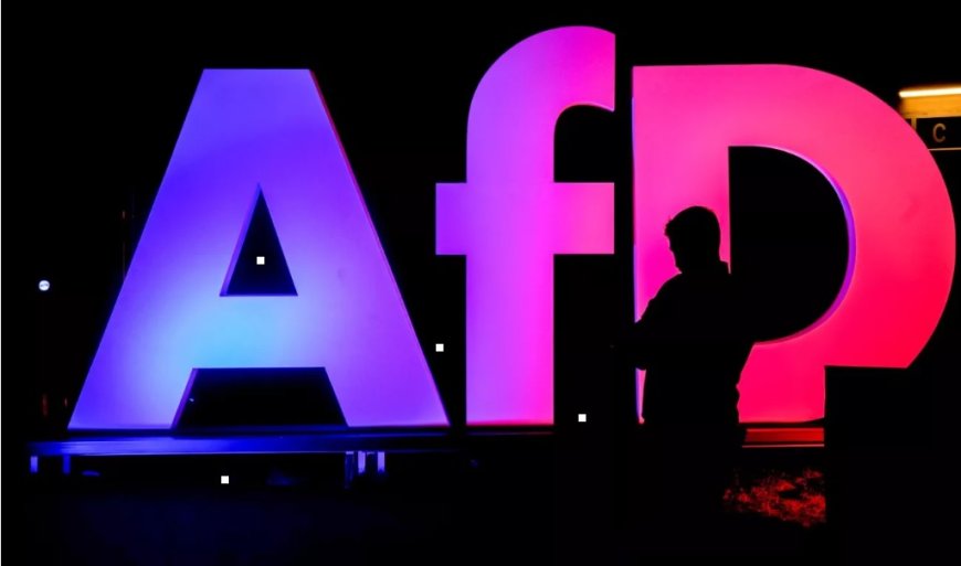 Almanya’da AfD’li Vekile Şok Soruşturma: Rüşvet ve Kara Para İddiası