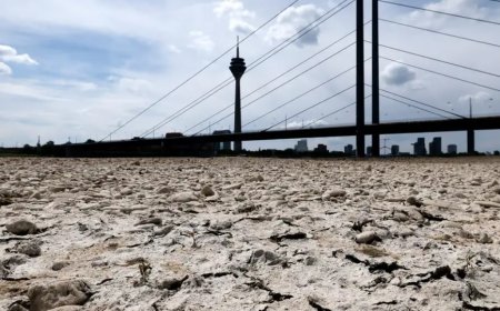 Almanya Su Kriziyle Karşı Karşıya: Her İki Bölgeden Biri  Su Stresi  Yaşıyor