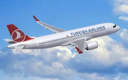 Türkiye'nin En Değerli Markası 243 Gün Önceye Döndü: THY Hissesi Sert Düşüşte