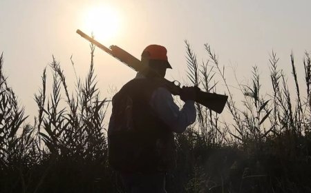 Rüyada Avlanmak Görmek Ne Anlama Gelir? Uzmanlardan Çarpıcı Yorumlar