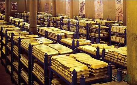Berat Albayrak’s Move Saved Turkey’s Gold Reserves