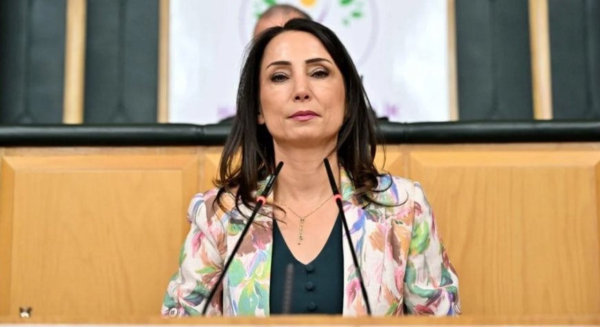 Hatimoğulları’ndan Anayasa Süreci İçin İklim Uyarısı: Yol Temizliği Şart
