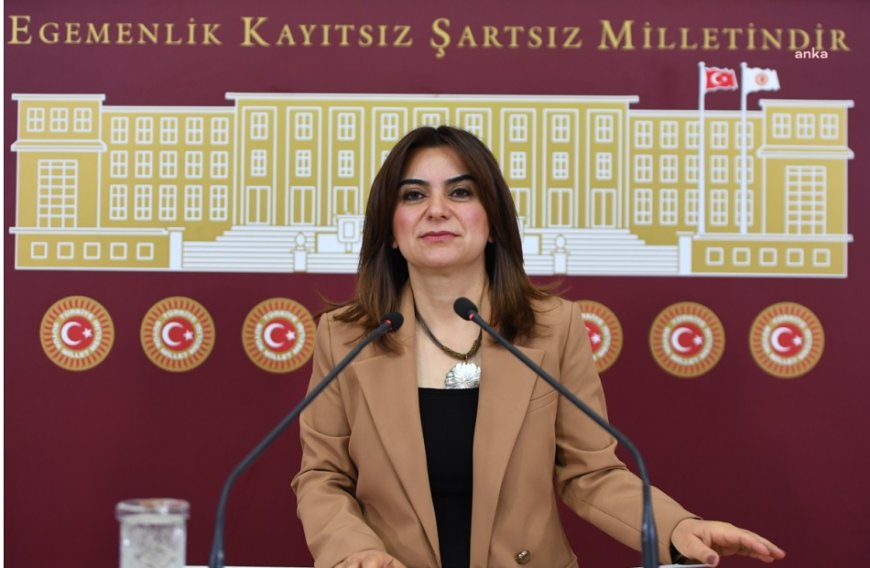 DEM'den Meclis'e Çözüm Süreci Komisyonu Ültimatomu