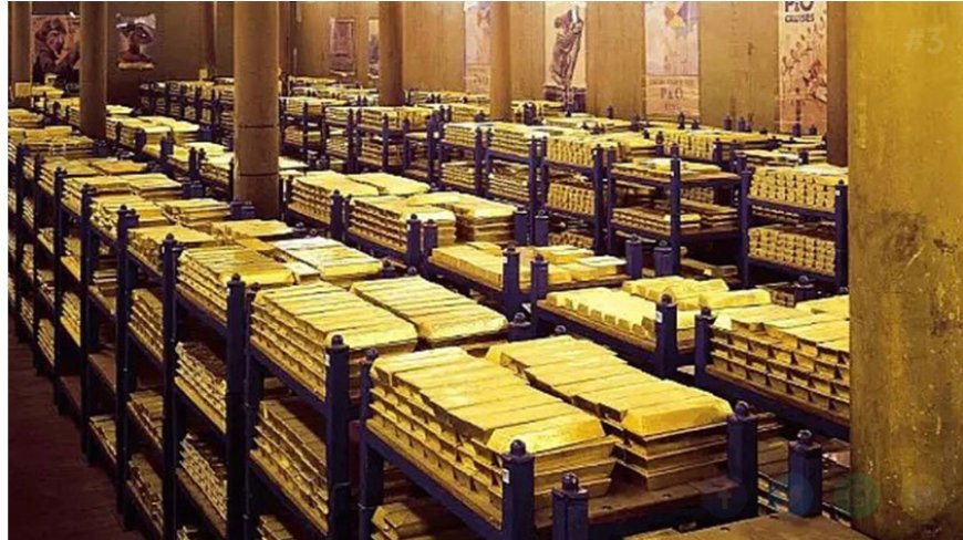 Berat Albayrak’s Move Saved Turkey’s Gold Reserves