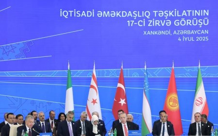 Erdoğan, Ekonomik İşbirliği Zirvesi Öncesi Aliyev ve Mirziyoyev ile Görüştü