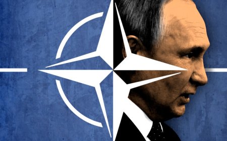 Стратегическая ошибка Путина: как Россия подтолкнула Украину и её соседей в объятия НАТО