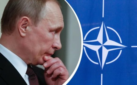Стратегічна помилка Путіна: Як Росія штовхає Україну та її сусідів в обійми НАТО