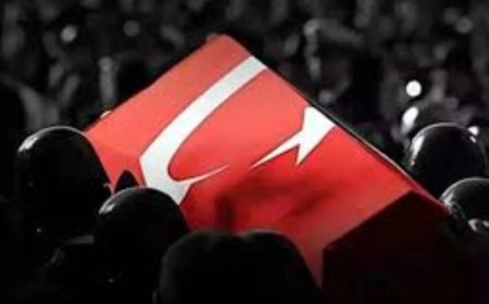 Yüksek Ateşle Hastaneye Kaldırılan İki Asker Şehit Oldu