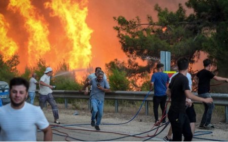 KARABÜK VE BURSA ORMAN YANGINLARI: FELAKETİN 4. GÜNÜ