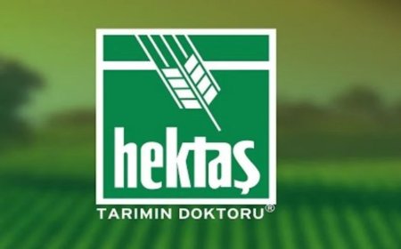 HEKTS Hissesi 4 TL Sınırında: Yükseliş Kalıcı Olursa Hedef 6 TL mi?