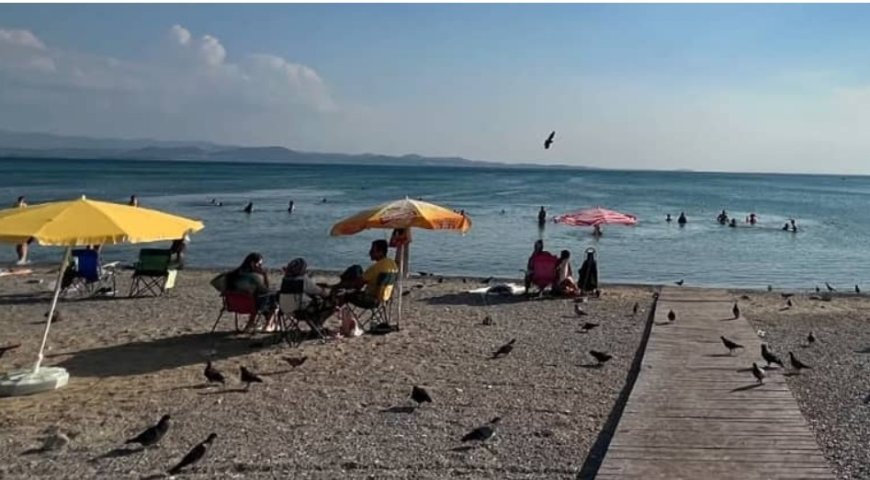 Altınkum Plajı’nda Kirli Deniz Suyu Alarmı: Tatilciler Sağlık Tehdidiyle Karşı Karşıya