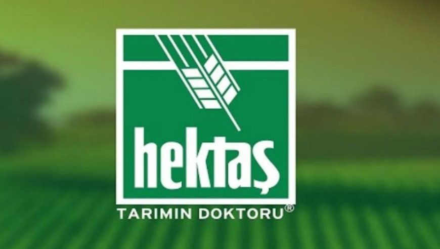 HEKTS Hissesi 4 TL Sınırında: Yükseliş Kalıcı Olursa Hedef 6 TL mi?
