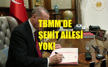 Şehit Ailelerinden Erdoğan’a Yanıt: Mektup Değil, Adalet ve TBMM'de Temsil İstiyoruz