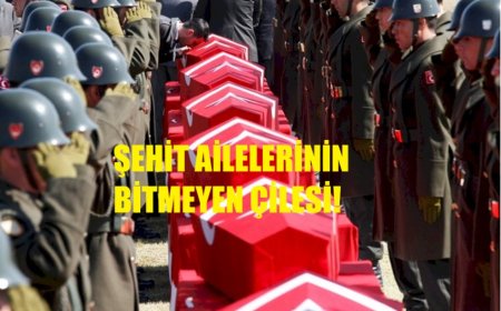 Terörle Mücadele Stratejisi, Şehit Ailelerinin Bitmeyen Çilesi!