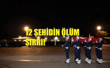 12 Askerin Şehit Olduğu Mağarada  Köpek Neden Zehirlenmedi? Sorusu Gündemde