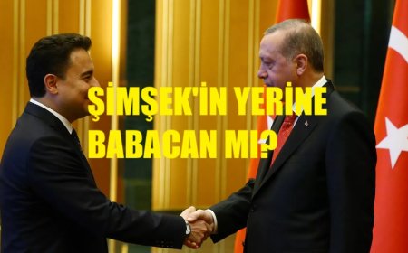Nebati Şaşırtmaca, Babacan Sürprizi: Kulislerde Büyük Güç Mücadelesi