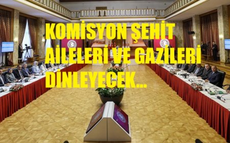 Milli Dayanışma Komisyonu’nda Şehit Yakınları ve Gaziler Dinlenecek