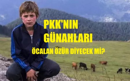 PKK’nın Sivilleri Hedef Alan Saldırıları: Türkiye’nin Bitmeyen Acısı