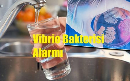 Marmara ve Ege Denizi’nde Vibrio Bakterisi Alarmı