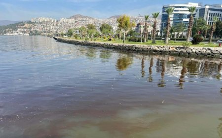 İzmir Körfezi'ndeki Kötü Kokunun Nedeni Bilimsel Olarak Açıklandı