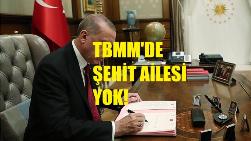Şehit Ailelerinden Erdoğan’a Yanıt: Mektup Değil, Adalet ve TBMM'de Temsil İstiyoruz