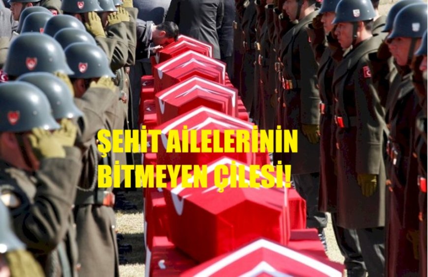 Terörle Mücadele Stratejisi, Şehit Ailelerinin Bitmeyen Çilesi!