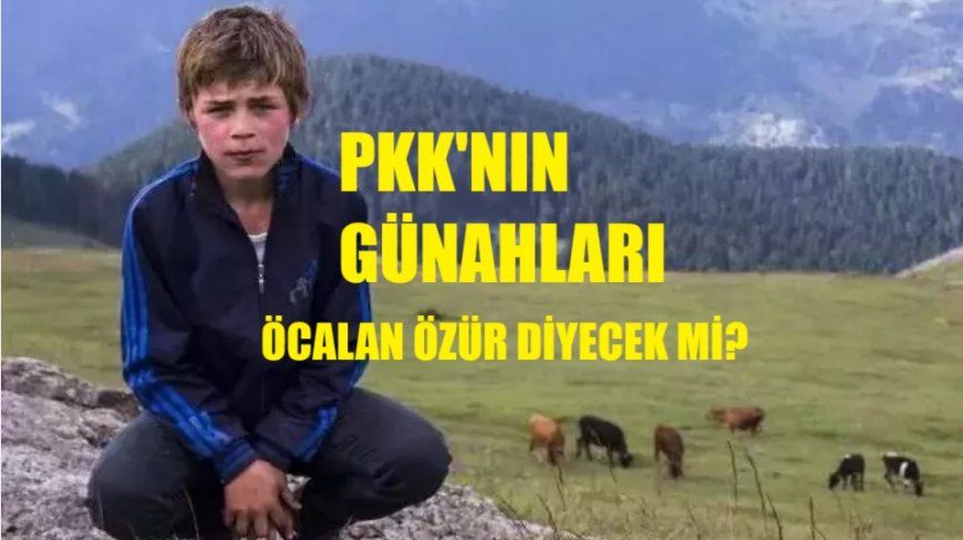 PKK’nın Sivilleri Hedef Alan Saldırıları: Türkiye’nin Bitmeyen Acısı