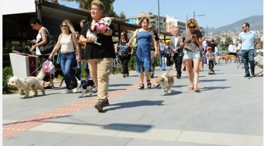 Karşıyaka’da ihale krizi: Hayvan ilacı alımı tepkilere yol açtı
