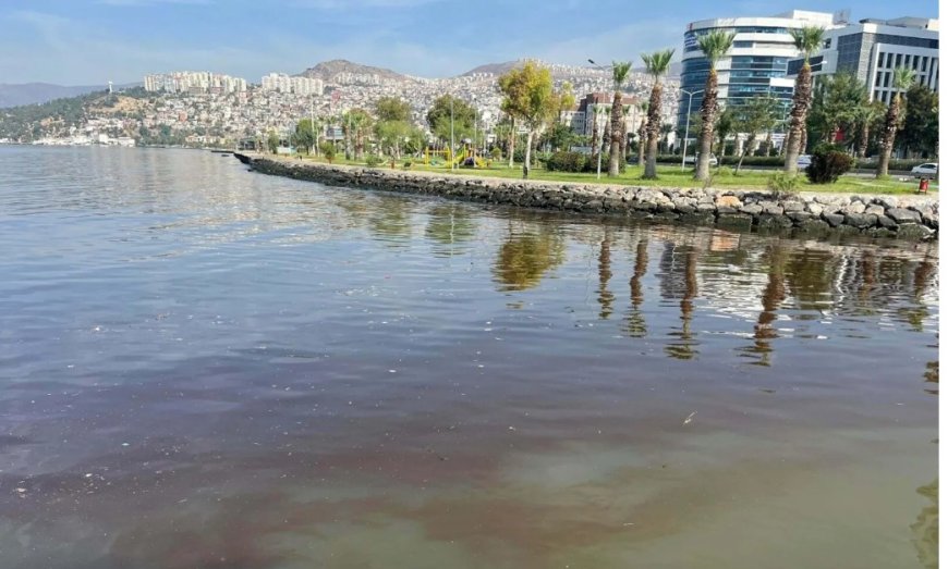 İzmir Körfezi'ndeki Kötü Kokunun Nedeni Bilimsel Olarak Açıklandı