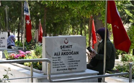 Öcalan 12 Metrekarelik Cezaevinde, Şehitler Kara Toprağın Altında!