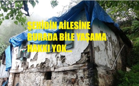 Mezara Yakın Yaşamak: Kars’ta Şehit Ailesinin Feryadı Tapu Engeline Takıldı!