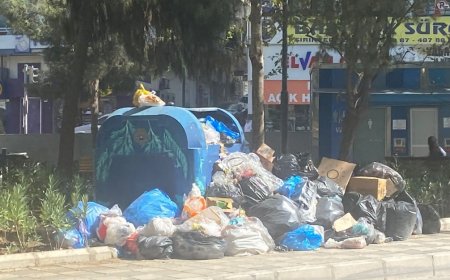 Sıcakla Büyüyen Çöp Krizi: İzmir’in Merkezinde Koku ve Sağlık Alarmı