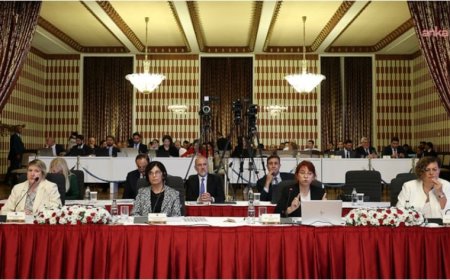 Komisyonda  liderlik tartışması: Profesörün Atatürk ve Öcalan sözleri tepki çekti