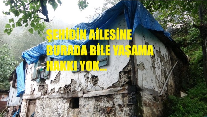 Mezara Yakın Yaşamak: Kars’ta Şehit Ailesinin Feryadı Tapu Engeline Takıldı!