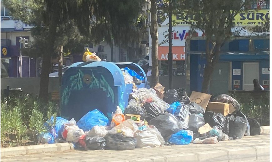 Sıcakla Büyüyen Çöp Krizi: İzmir’in Merkezinde Koku ve Sağlık Alarmı
