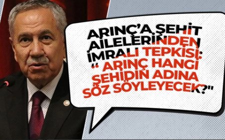 İmralı Görüşmesi Teklifi Türkiye'yi İkiye Böldü: Şehit Ailelerinden Arınç’a Sert Tepki