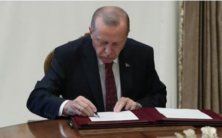 Türk Dünyasına Yeni Kapı: Türkiye’de Çalışma İzni Şartsız İstihdam Dönemi