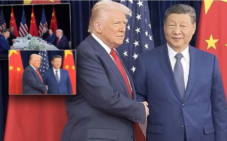 Trump, Şi’nin ekibi için: Hiç bu kadar korkmuş insan görmedim