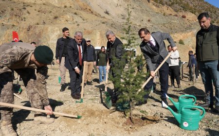 Artvin’de Şehit Polisler Anısına Hatıra Ormanı Oluşturuldu: 120 Fidan Dikildi
